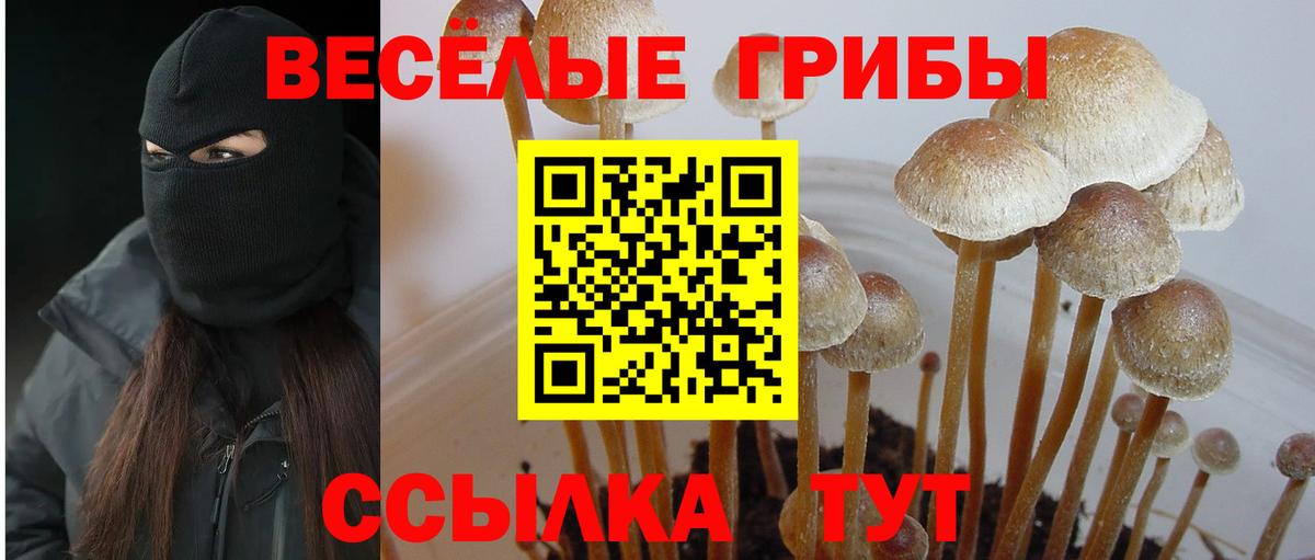 Псилоцибиновые грибы Cubensis  Псилоцибиновые грибы мухоморы  Вход с VPN  Таганрог 