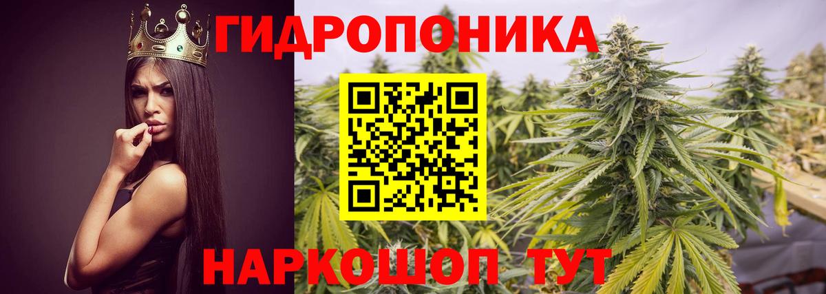МАРИХУАНА конопля Таганрог