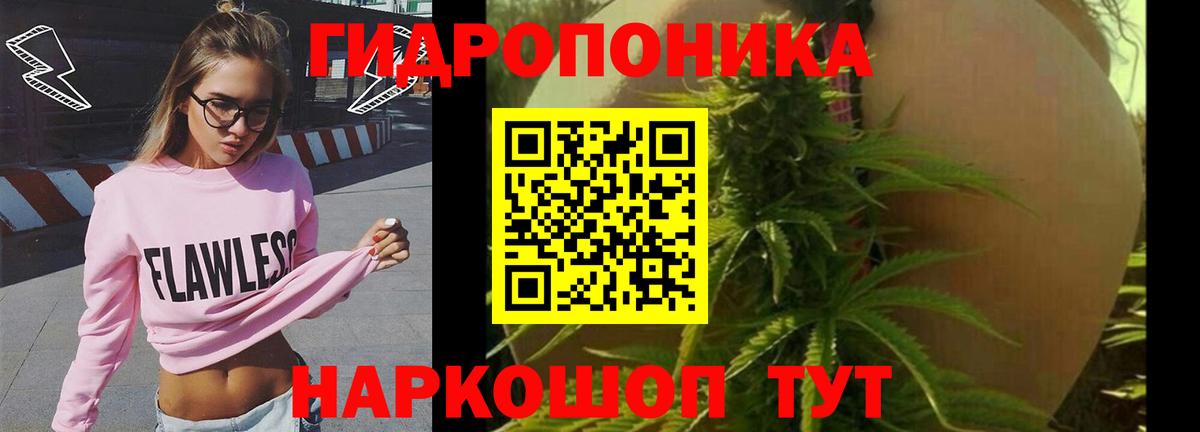 Таганрог  Конопля AK-47  Вход с VPN  Марихуана AK-47  Канабис OG Kush 